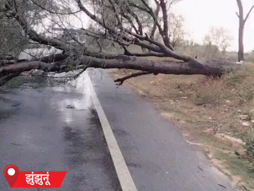 राजस्थानमधील झुंझुनू जिल्ह्यात गुरुवारी वादळामुळे झाड पडले, त्यामुळे वाहतूक कोंडी झाली.