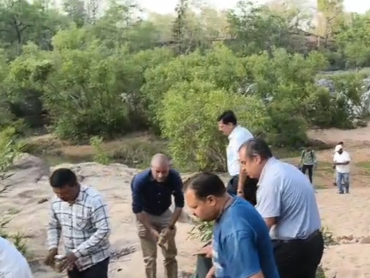 अधिकारियों और कर्मचारियों ने मिलकर परिसर से कचरा हटाया।