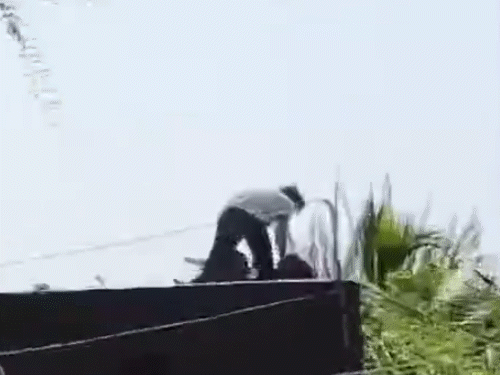 नाबालिग लड़की को छत से खींचते दिख रहा है आरोपी।