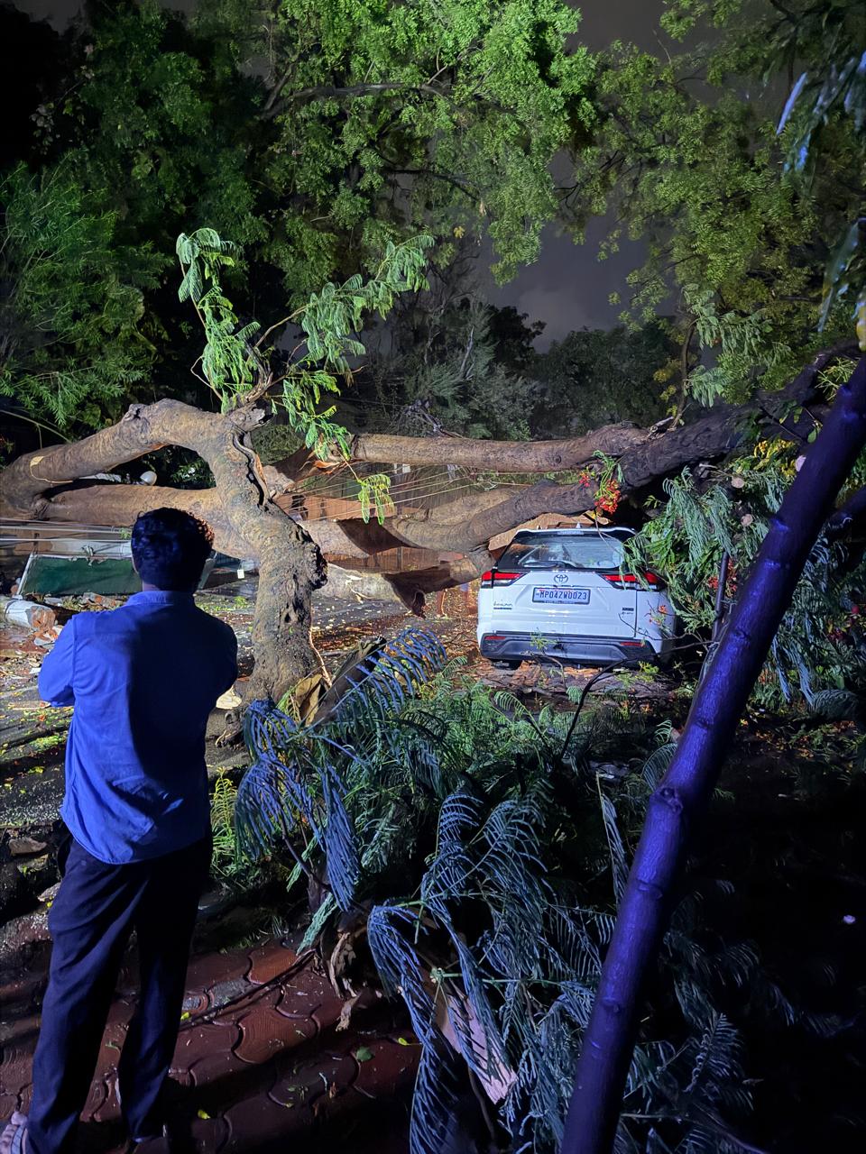 गुरुवार शाम को तेज आंधी की वजह से कई पेड़ कारों पर गिर गए। आधा दर्जन कारें क्षतिग्रस्त हुई है।