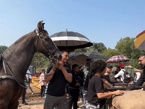 प्रैंक करने के लिए राजपाल यादव की ओर घोड़ा ले जाते हुए अक्षय कुमार।