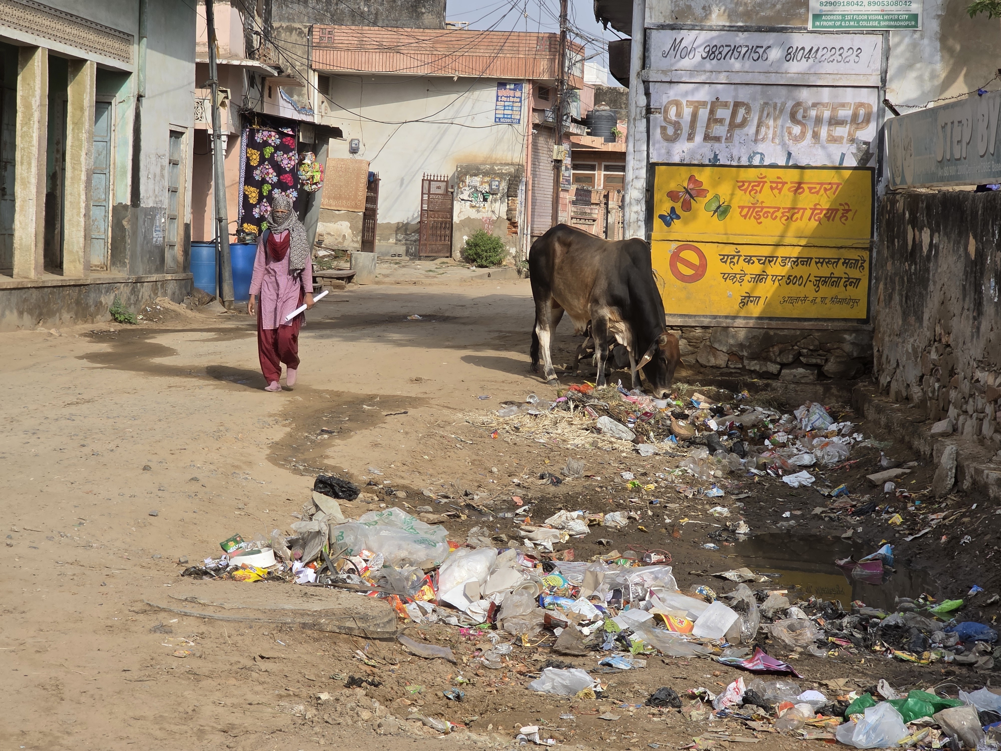 कस्बे की कॉलोनियों में कचरा फैला हुआ है।