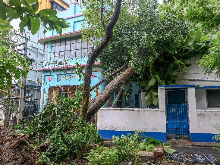 पश्चिम बंगाल में नादिया के कृष्णानगर में गुरुवार-शुक्रवार के बीच आए तूफान के बाद एक रिहायशी इमारत पर पेड़ गिर गया।