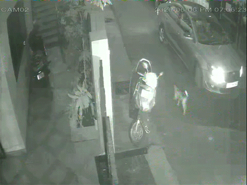 पीछे से क्रॉस करने के बाद बदमाश दोबारा सामने से मैनेजर को क्रॉस किया।