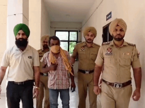 पुलिस ने आरोपी को गिरफ्तार कर लिया है। - Dainik Bhaskar