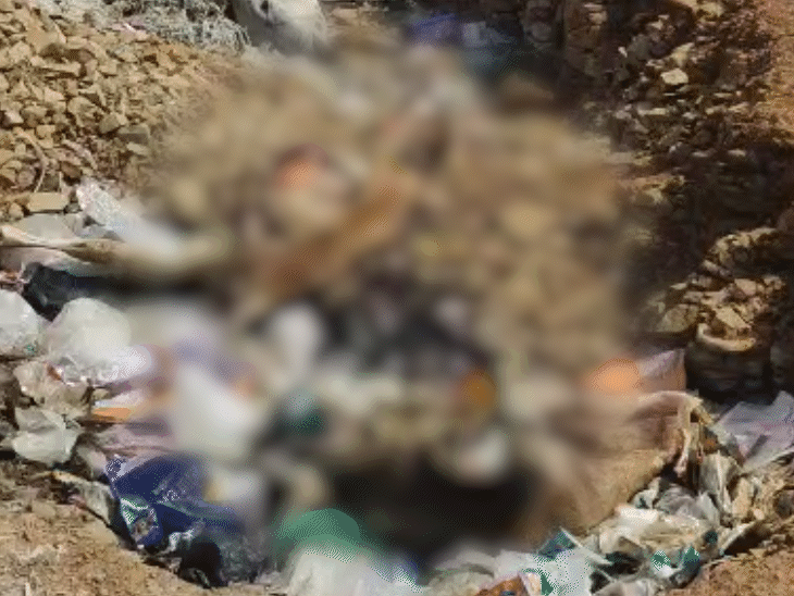 जमीन पर इतनी दुर्गंध है कि वहां खड़ा होना भी मुश्किल है