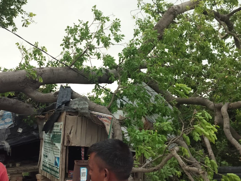 Dalmau Road Shops Damaged | Tree Branch Fall Accident in Rae Bareli