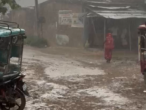 मोतिहारी में मंगलवार को दिन के 1 बजे के बाद तेज हवा के साथ बारिश हुई।