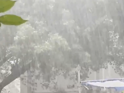 हैदराबाद में मंलवार को तेज बारिश हुई।