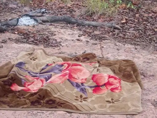 कोरिया में सड़क किनारे सो रहे 2 मजदूरों को हाथी ने कुचल कर मार डाला।