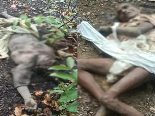 बलरामपुर में दंपती जंगल जाने के लिए निकले थे, इस दौरान हाथी ने हमला कर मार डाला।