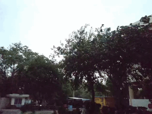 फरीदाबाद में सुबह के समय चल रही तेज हवाओं का दृश्य। - Dainik Bhaskar