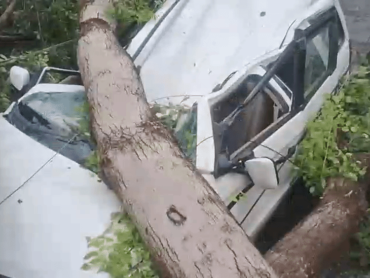 उत्तर प्रदेश के इटावा में 100kmph की रफ्तार से तेज आंधी चली, पेड़ उखड़कर कार पर गिरा।