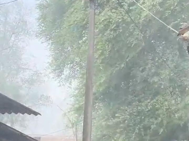यह बारिश खेती-किसानी के लिए वरदान है।