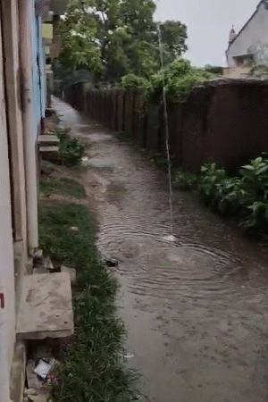 देवरिया में गुरुवार सुबह से हो रही रुक-रुक कर मूसलाधार बारिश से गलियों में पानी भर गया।