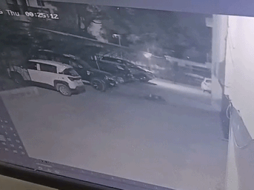 नीचे पड़ा युवक, कुछ देर तक तड़पता रहा, इसके बाद उसने दम तोड़ दिया।