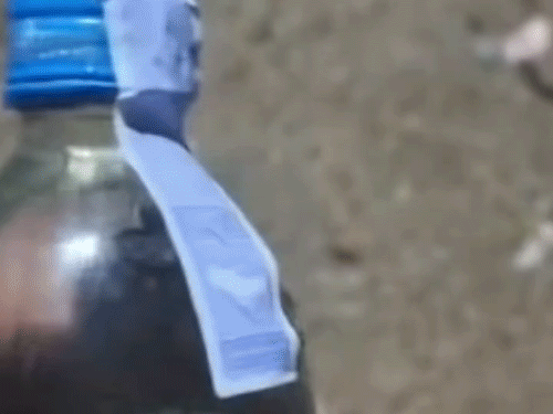 सीलपैक बोतल में कीड़ा मिलने के बाद हड़कंप मच गया।