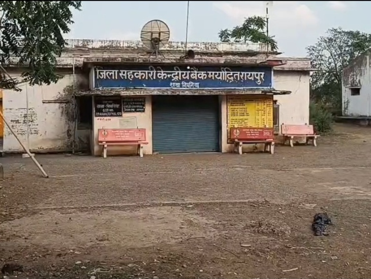 अनिता पांडेय जिला सहकारी केंद्रीय बैंक निपनिया ब्रांच में मैनेजर है।