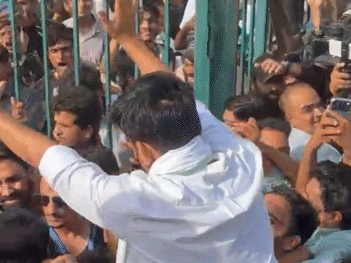 कॉकरोच जनता पार्टी (CJP) के फाउंडर अभिजीत दीपके को दो युवकों ने थप्पड़ मारे। इसके बाद समर्थकों ने युवकों को पकड़कर पीट दिया।