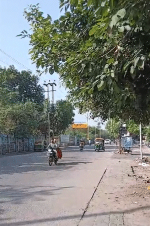 कानपुर में तेज धूप निकली हुई है। गर्मी और उमस से लोग बेहाल हैं।