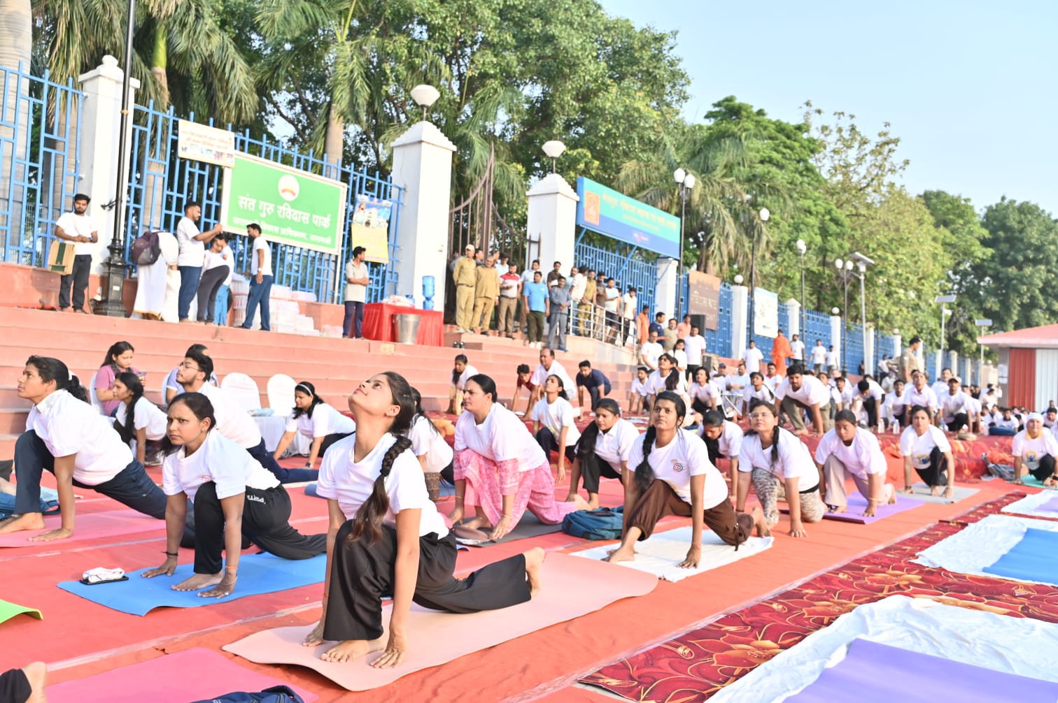 छात्राओं ने किया सूर्य नमस्कार।