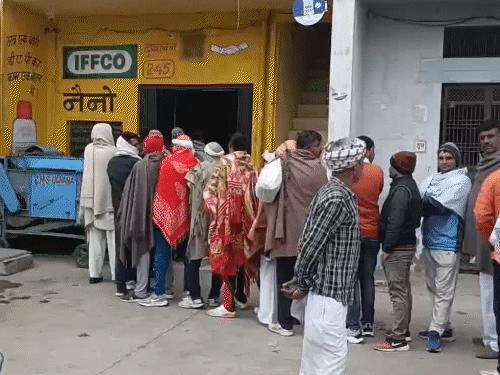 हरियाणा दावों के बावजूद किसानों को डीएपी-यूरिया की खरीद के लिए दुकानों में लाइन में लगना पड़ रहा है। - Dainik Bhaskar