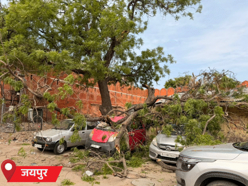 जयपुर में बुधवार सुबह आई आंधी के दौरान गंगापोल गेट के पास नीम का पेड़ कारों पर गिर पड़ा। इससे तीन गाड़ियों को नुकसान पहुंचा।
