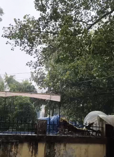बिहार के लखीसराय में बुधवार को तेज हवा के साथ बारिश हुई।