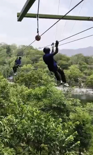 राइडर के जिप लाइन के बीच में फंसने पर रेस्क्यू टीम का सदस्य उसे वापस लेने जाता हुआ।