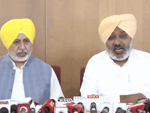 AAP मंत्री हरपाल चीमा और प्रवक्ता बलतेज पन्नू ने प्रेस कॉन्फ्रेंस की। - Dainik Bhaskar