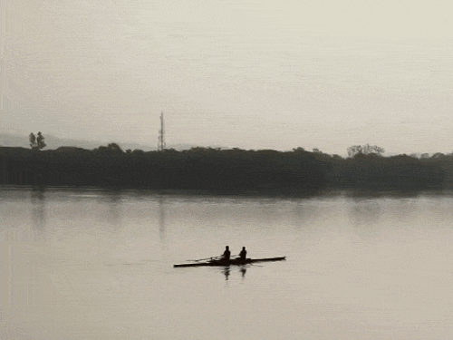 चंडीगढ़ की सुखना लेक पर सुबह के समय वोटिंग करते हुए लोग।