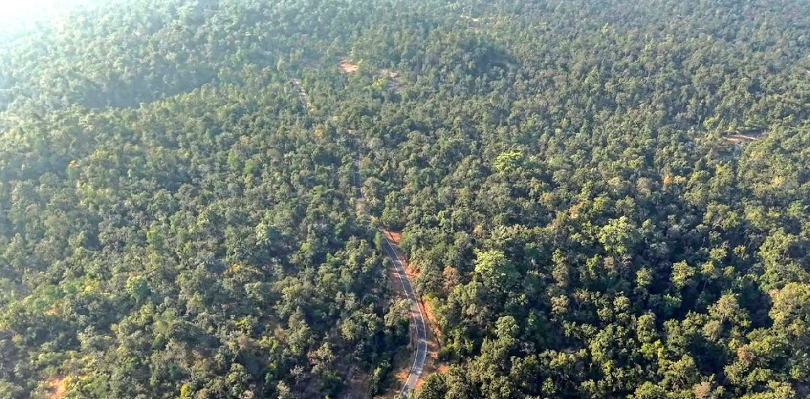 छत्तीसगढ़ का हसदेव-अरण्य क्षेत्र, जहां कोयला ब्लॉकों को मंजूरी दी गई है।