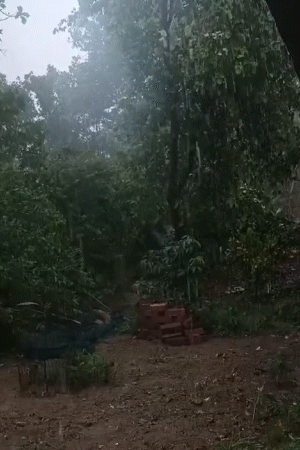 राजधानी रांची सहित गिरिडीह, हजारीबाग, चतरा, जामताड़ा, जमशेदपुर में झमाझम बारिश हुई।