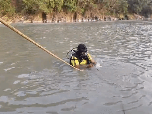 एसडीआरएफ पिछले 6 दिनों से गोताखोरों की मदद से पर्यटकों की तलाश कर रही थी.