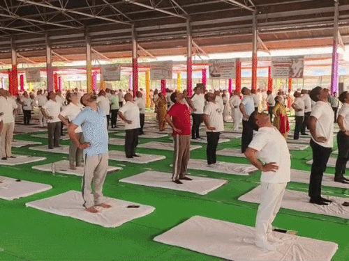 करनाल की नई आनाज मंडी में योग करते हुए लोग।