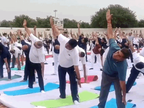 Alwar Yoga Day: Drug-Free Pledge | Minister Bhupender Yadav