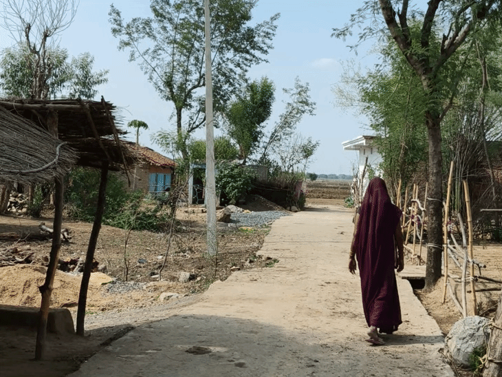 गोल्डी साकेत की मौत के बाद घर के पास मातम पसर गया है.
