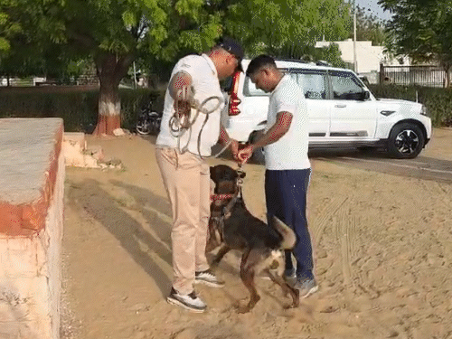 मर्डर के आरोपी का पीछा कर डॉग स्क्वॉड ने केस सॉल्व किया।