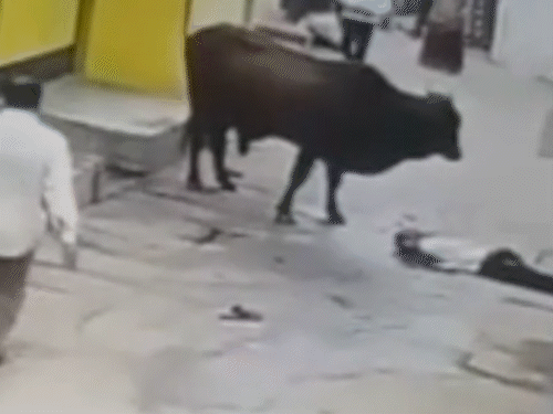 मौके पर पहुंचे लोगों ने घायल को फौरन अस्पताल पहुंचाया।