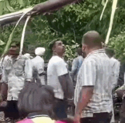 हरियाणातील पिंजौर येथे जोरदार वादळामुळे रस्त्यांवर झाडे कोसळली, त्यामुळे वाहतूक कोंडी झाली.