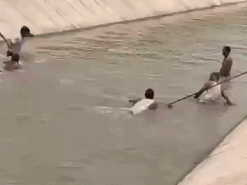 नहर में शव की तलाश करते हुए ग्रामीण और गोताखोर।