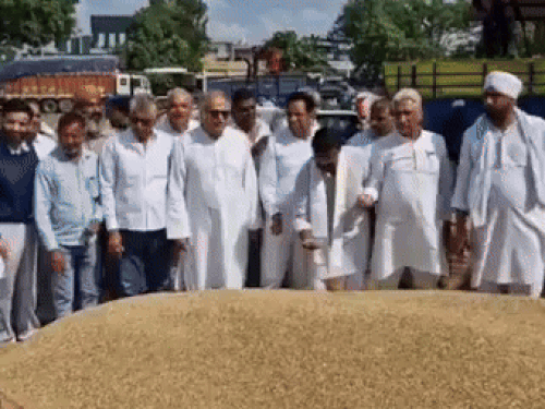 करनाल मंडी में धान की खरीद को लेकर पहुंचे कांग्रेस नेताओं की फाइल फोटो।