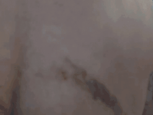आरोपी की मां का आरोप है कि उसके बेटों को थाने में पीटा गया.