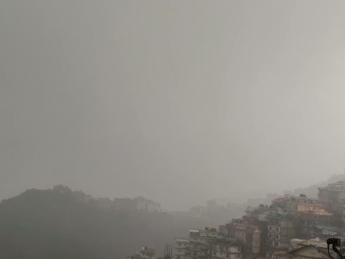 हिमाचल प्रदेश के शिमला में शुक्रवार दोपहर को तेज बारिश हुई और दिन में अंधेरा छा गया।