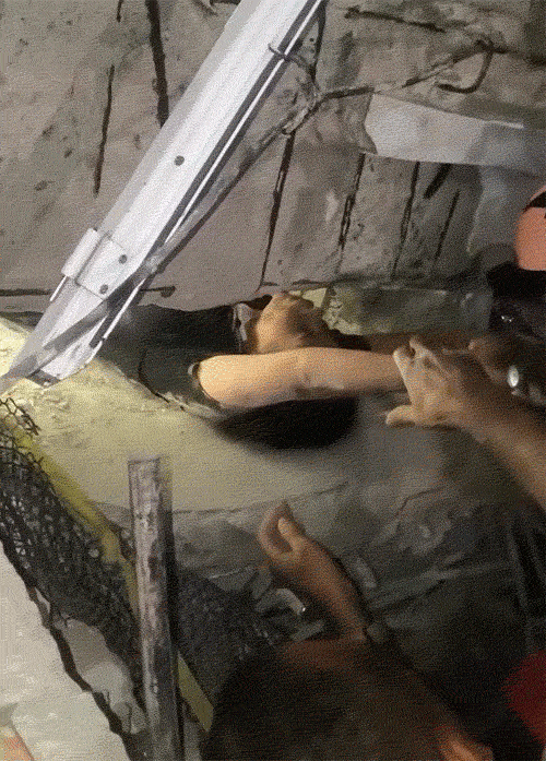 कराकस में इमारत ढहने के बाद एक आदमी मलबे में दबा हुआ था। रेस्क्यू टीम ने उसे खींचकर बाहर निकाला।