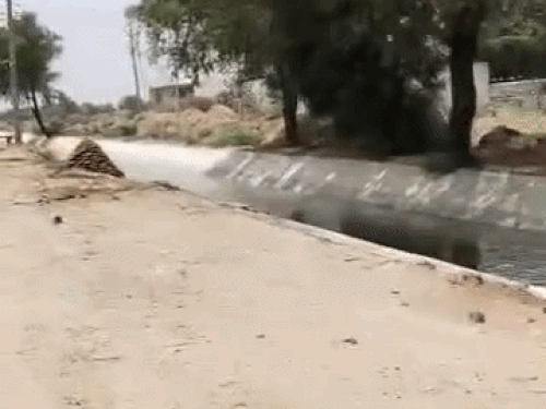 माइनर की पटरी के बिलकुल ऊपर डाला गया गोबर व कचरा