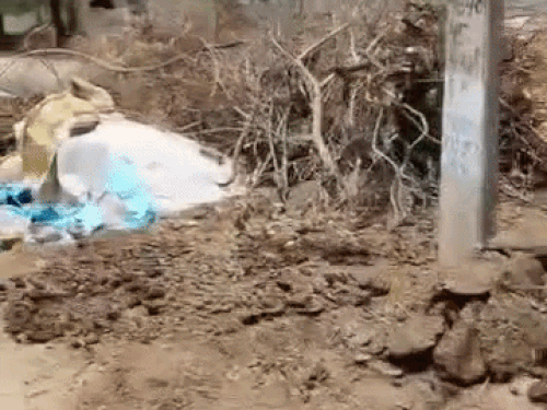 माइनर के पास गोबर व कचरा और लकड़ी डालकर किया गया अतिक्रमण