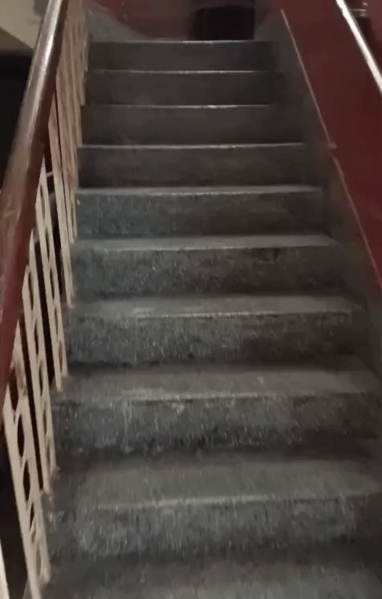 डी रॉयज स्मार्ट एकेडमी की बिल्डिंग की सीढ़ी पतली है। इस रास्ते एक साथ अधिक बच्चे नहीं निकल सकते।