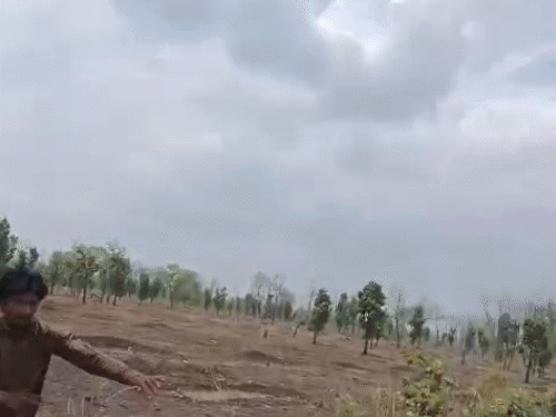 अतिक्रमणकारी वनकर्मियों पर गुलेल से पथराव कर रहे थे.