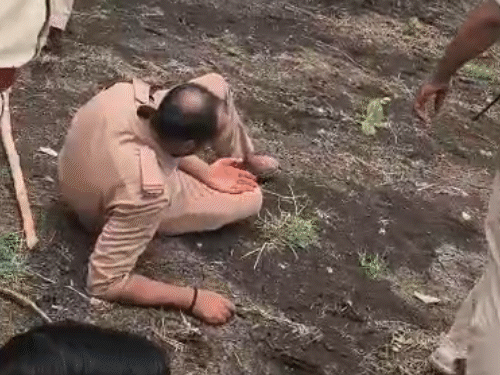यह हमला गुड़ी रेंज के अमाखुजरी जंगल में फ्लाइंग स्क्वाड पर किया गया.